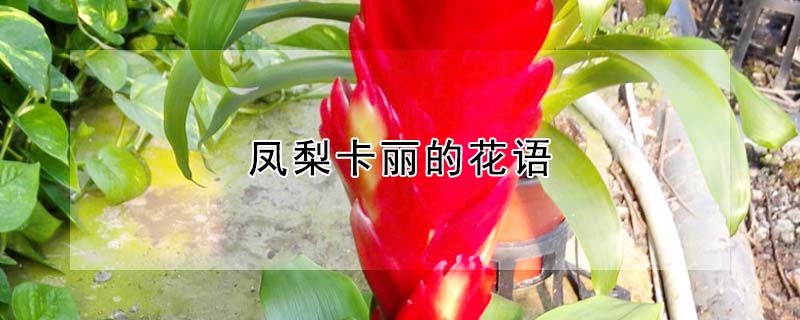 濨Ļ濨ʲôԢ⣩