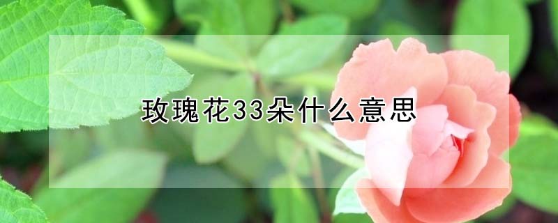 õ廨33ʲô˼õ廨33Ԣ