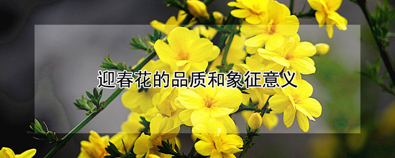 ӭƷʺ壨ӭЩԢ⣩