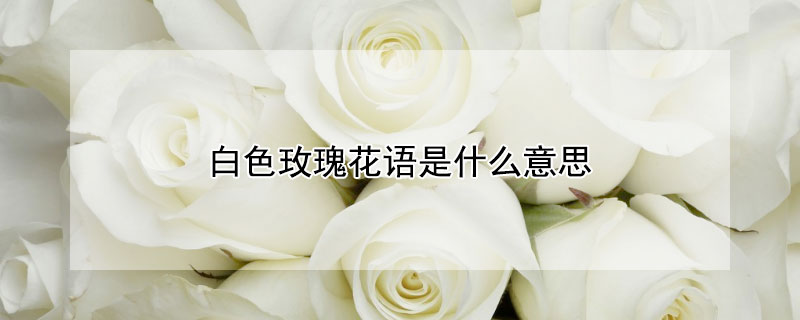 ɫõ廨ʲô˼ɫõ廨ЩԢ⣩