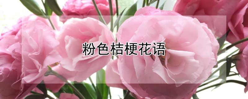 ɫ۹ɫ۹Ԣ