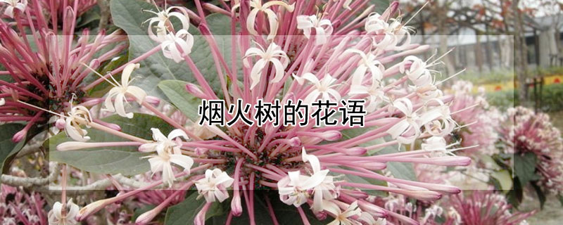 ̻Ļ