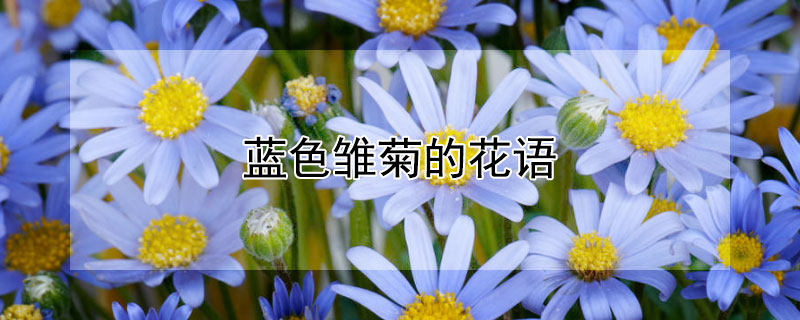ɫյĻɫյԢʲô