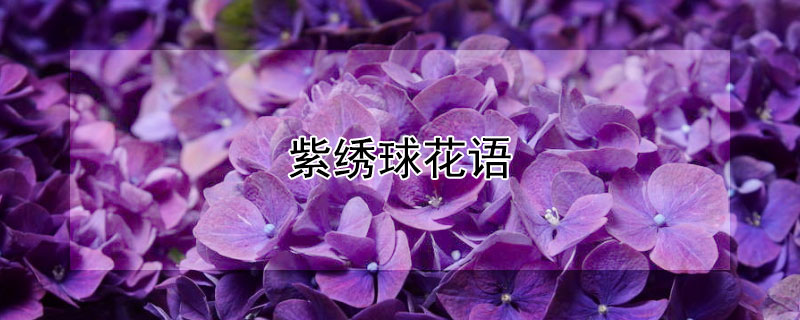 ĻЩԢ⣩