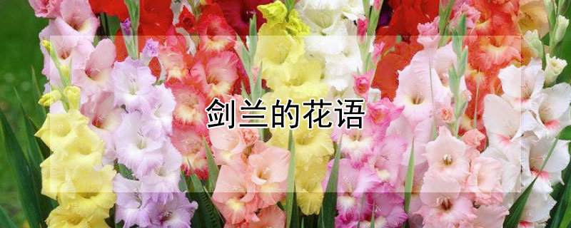 ĻԢ