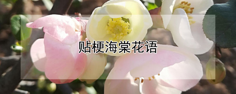 ĻĵԢ