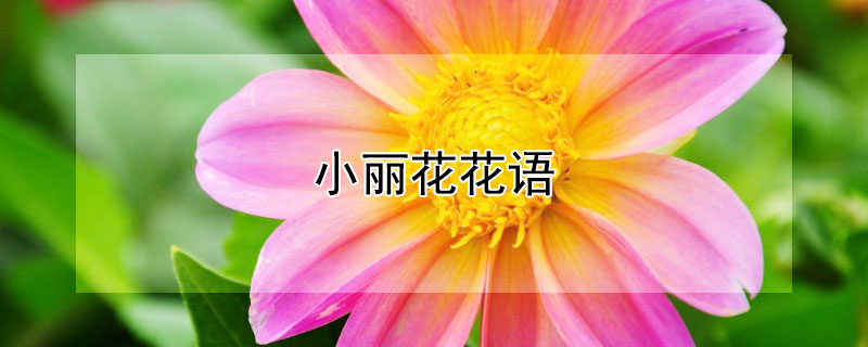 ССԢ