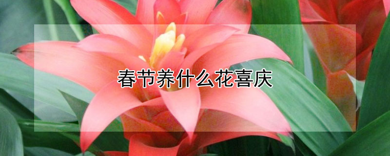 ʲôϲ죨ֳЩϲ죩