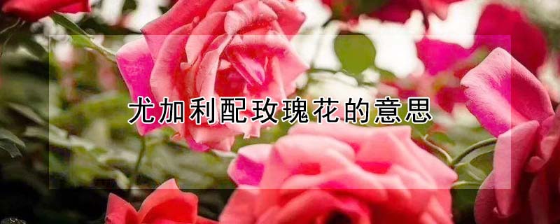 ȼõ廨˼ȼõ廨ʲôԢ⣩