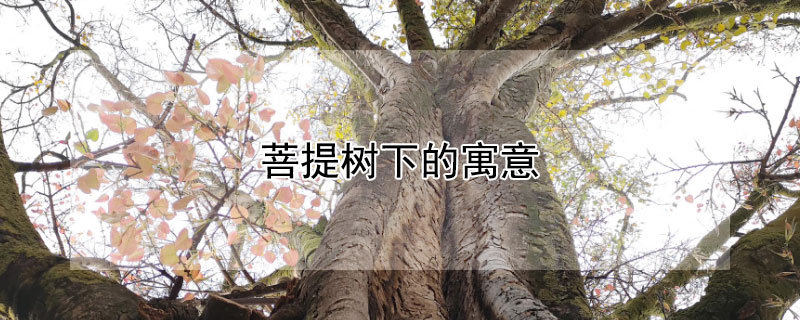 µԢ⣬Щ壿