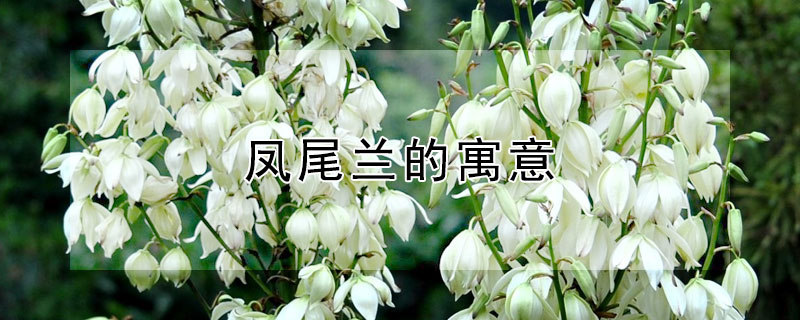βԢ