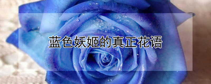 ɫɫԢ