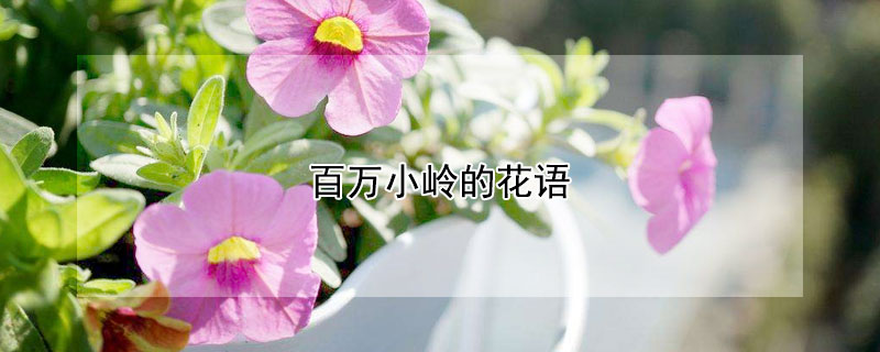 СĻʲôСʲôԢ⣿