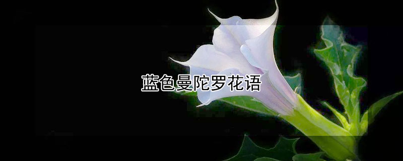 ɫ޻ﺬʲôɫʲôԢ⣿