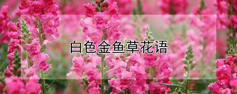 ɫݻʲôɫʲôԢ⣿