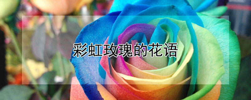 ʺõĻʲôʺõʲô