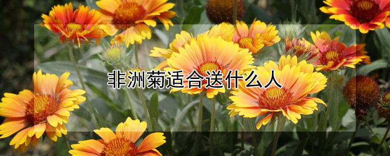 ޾ʺʲôˣ޾ʺ͸Щˣ