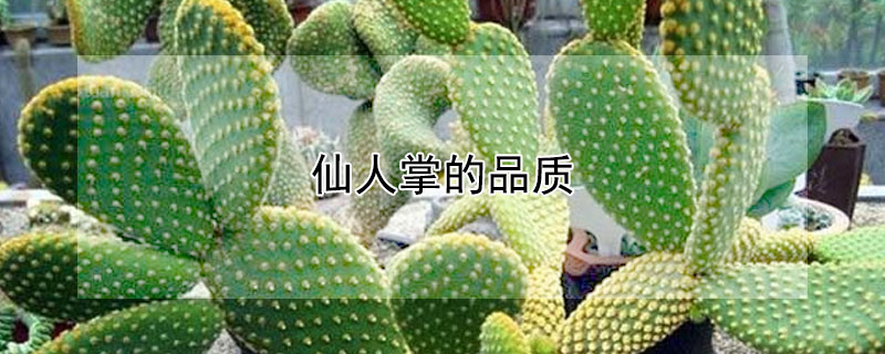 ƵƷʽܣʲô壿