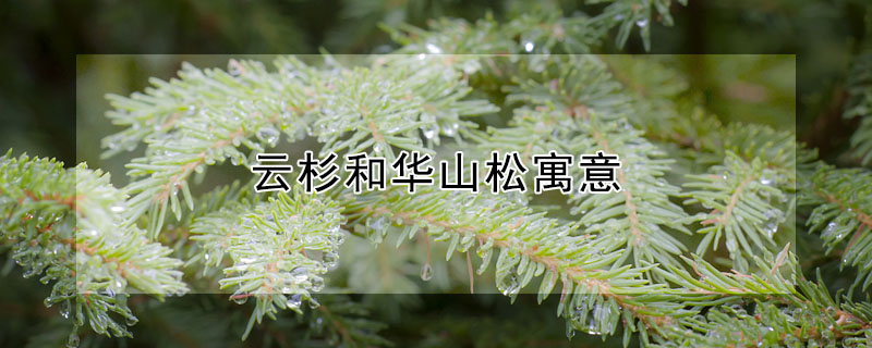 ɼͻɽԢɼͻɽʲô壿