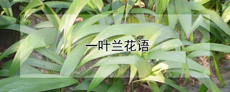 һҶʲô壿һҶʲôԢ⣿
