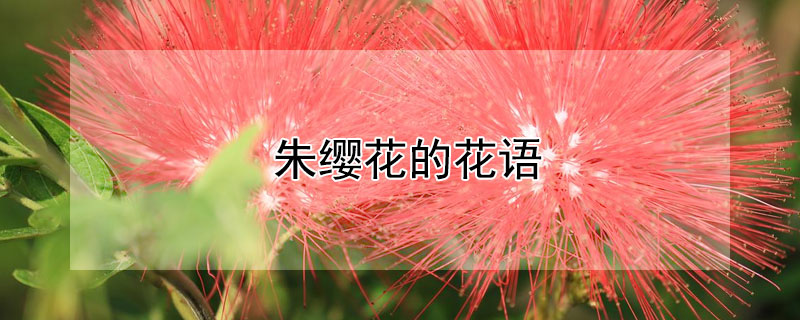 ӧĻʲô˼ӧʲôԢ⣿