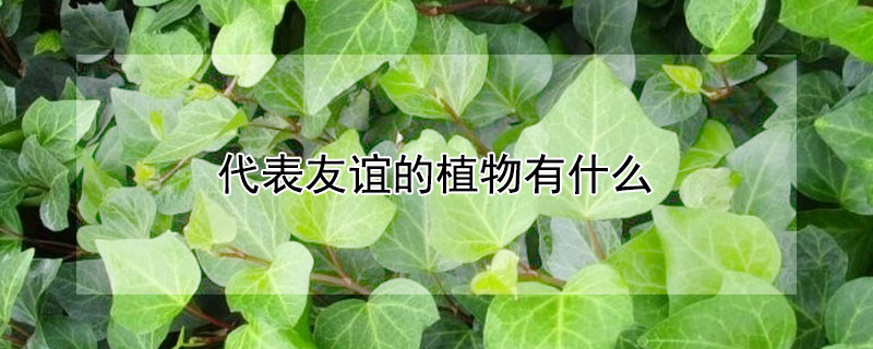 ֲЩ