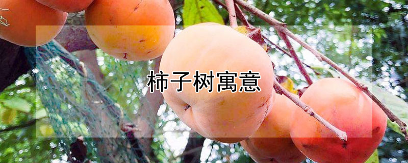 ԢʲôЩ壿