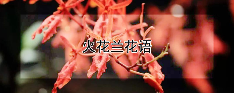 ʲôʲôԢ⣿