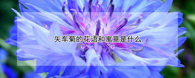 ʸյĻԢʲôʸЩ壩