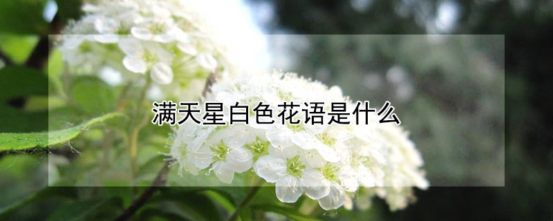 ǰɫʲôɫԢʲô