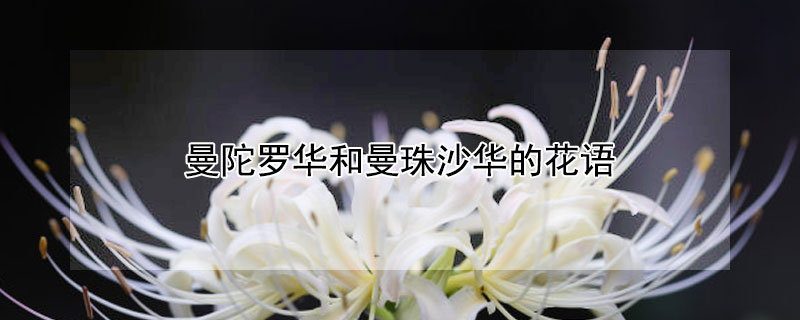 ޻ɳĻʲô