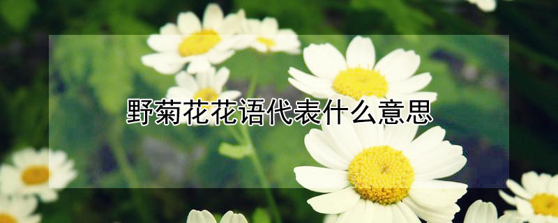 Ұջʲô˼ҰջԢ
