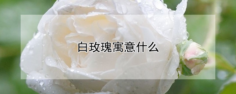 õԢʲôõЩ壿