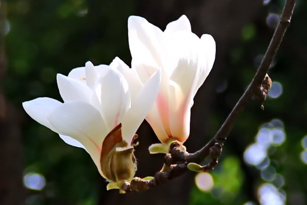 ϺлԢʲô