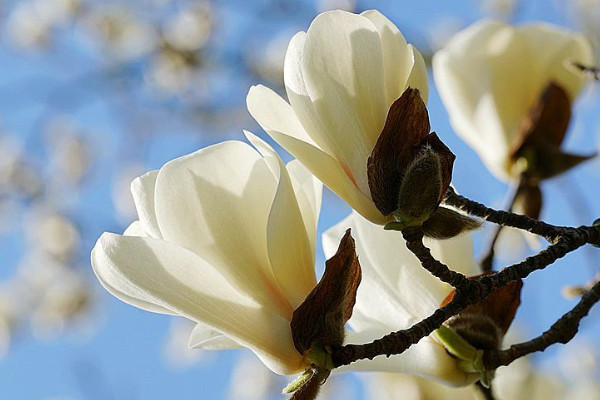 ϺлԢʲô
