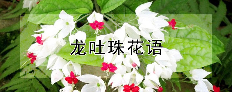 ĻʲôԢ⣿