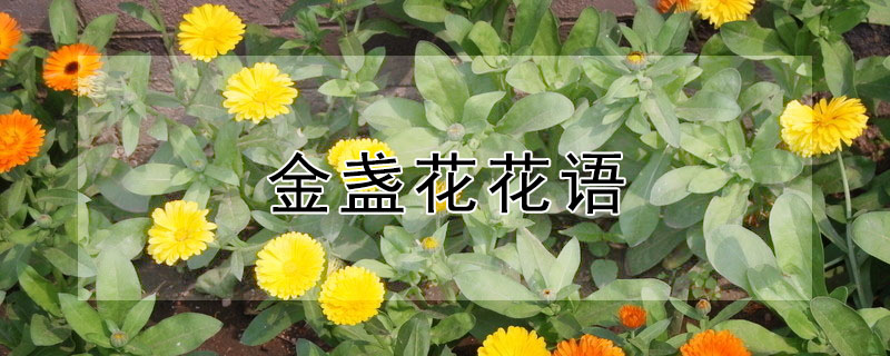 յﺬʲô˼