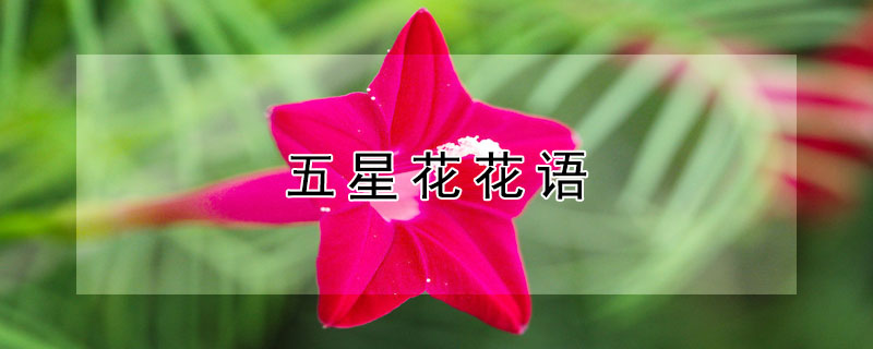 ǻĻʲô