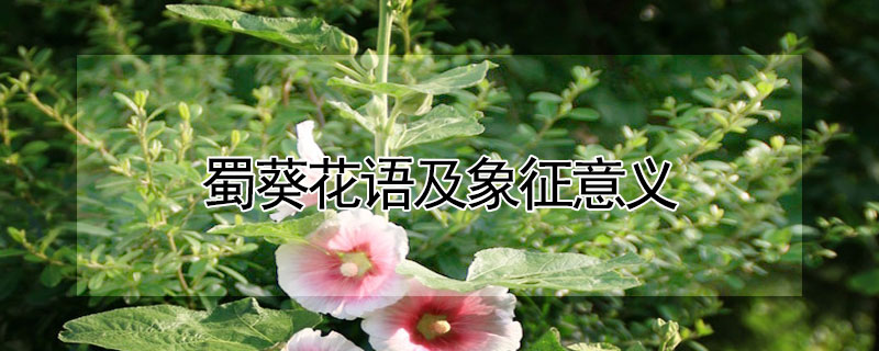 Ｐ壨ʲô壩