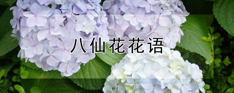ɻĻʲô壿