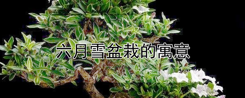 ѩʲôԢ