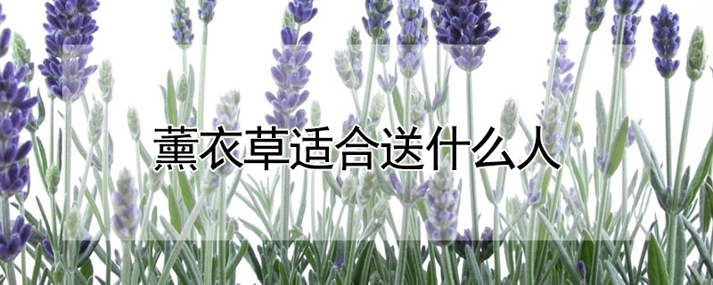 ޹²ʺʲôˣ޹²ʺЩˣ