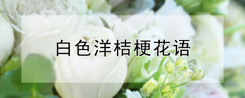 ɫ۹ʲô壿