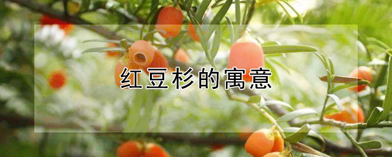 춹ɼԢ⣨춹ɼʲô壩