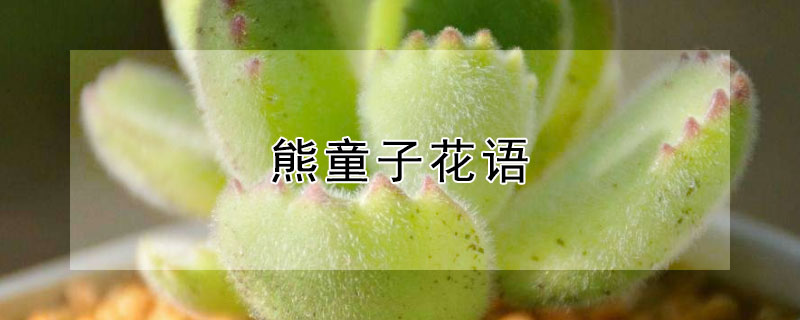 ͯӵĻﺬʲô˼