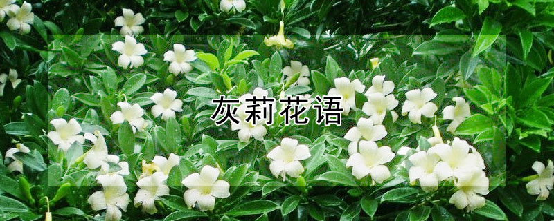 ĻʲôԢ⣩