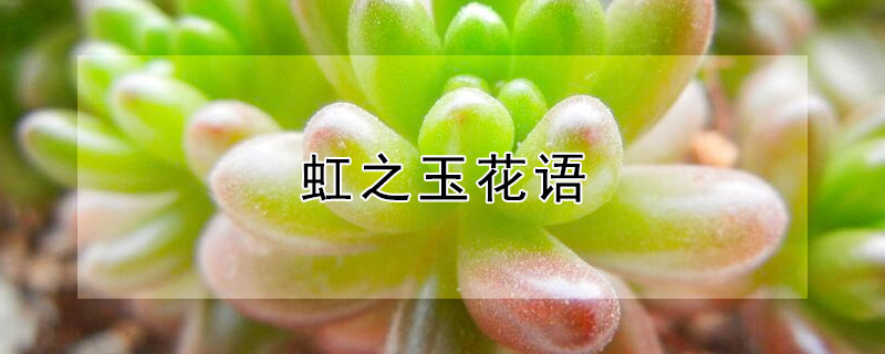 ֮ʲô֮ʲô壿