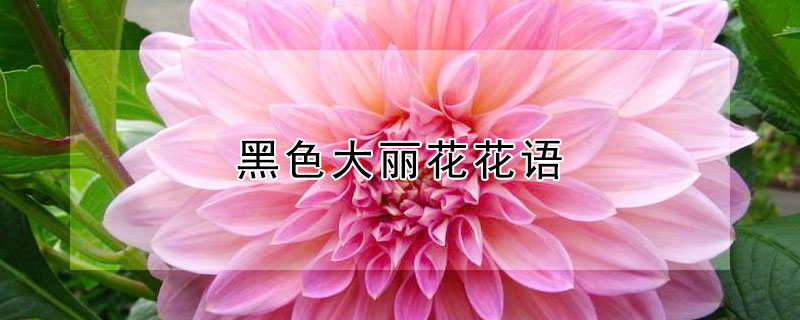 ɫɫʲô壿