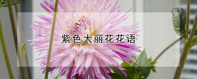 ɫʲôɫʲô壿