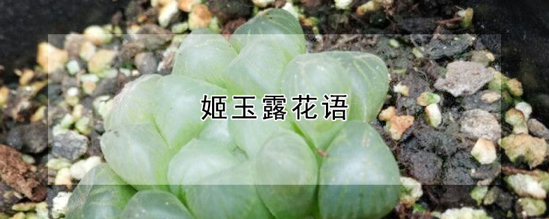 ¶¶ʲôԢ⣿